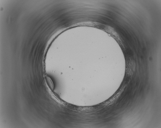 X0000062170808200601061039