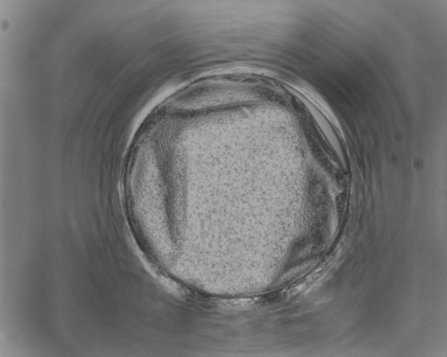 X0000062170813200601061039