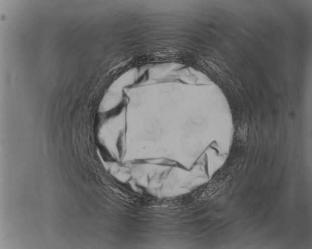 X0000062170817200601061038