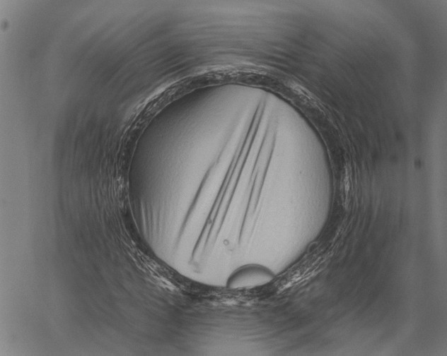 X0000062170822200601061038