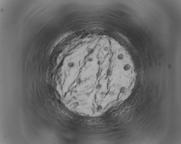 X0000062170823200601061038