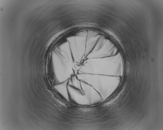 X0000062170829200601061038