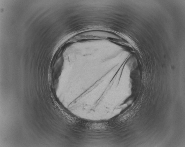 X0000062170839200601061038