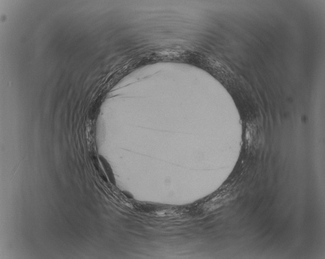 X0000062170867200601061038