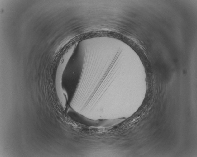 X0000062170871200601061038