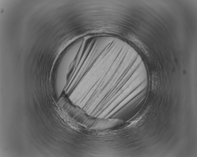 X0000062170876200601061038