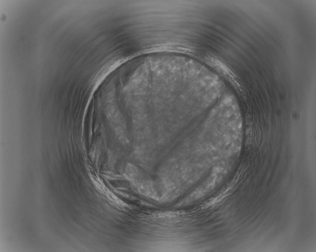 X0000062170892200601061038