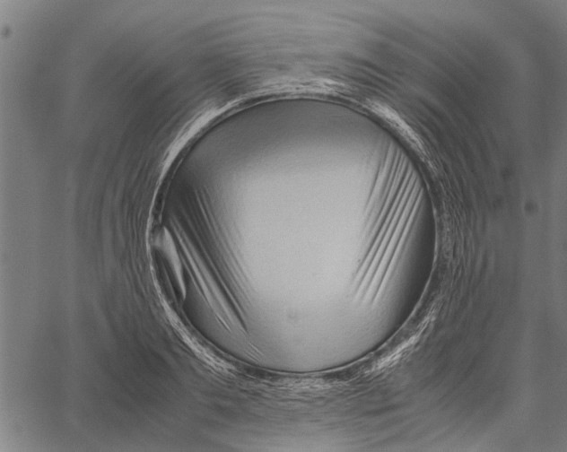 X0000062170893200601061038