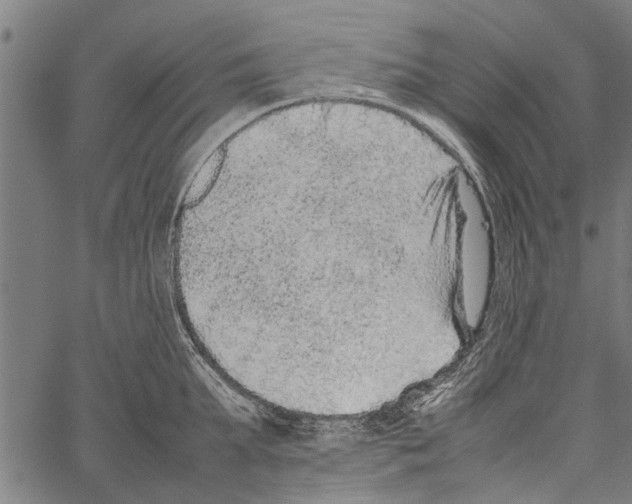 X0000062170903200601061037