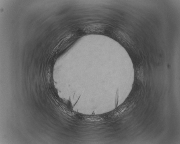 X0000062170915200601061036