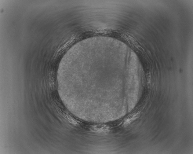 X0000062170916200601061036