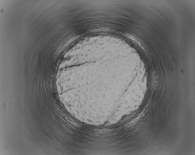 X0000062170921200601061037