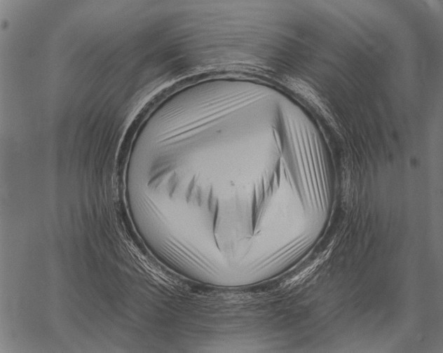X0000062170924200601061037