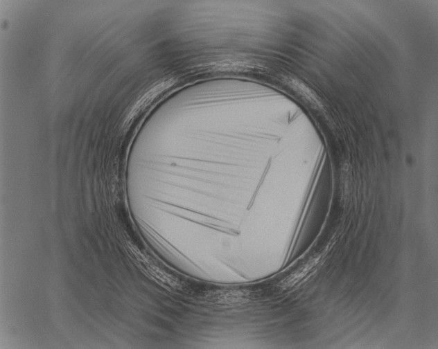 X0000062170930200601061037