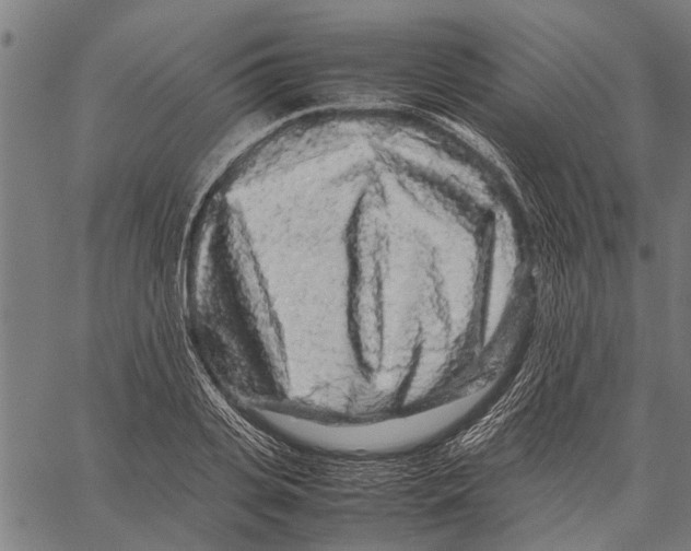 X0000062170935200601061037