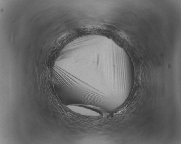 X0000062170965200601061036