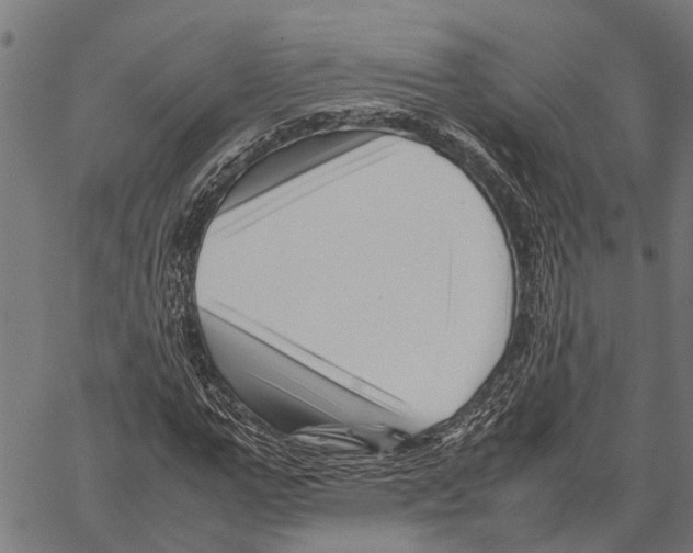X0000062170967200601061036