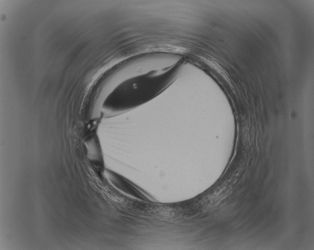 X0000062170971200601061036