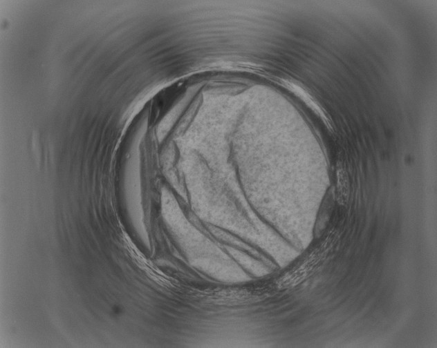 X0000062170972200601061036