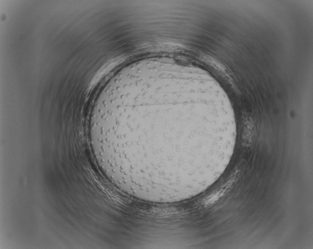 X0000062170978200601061036