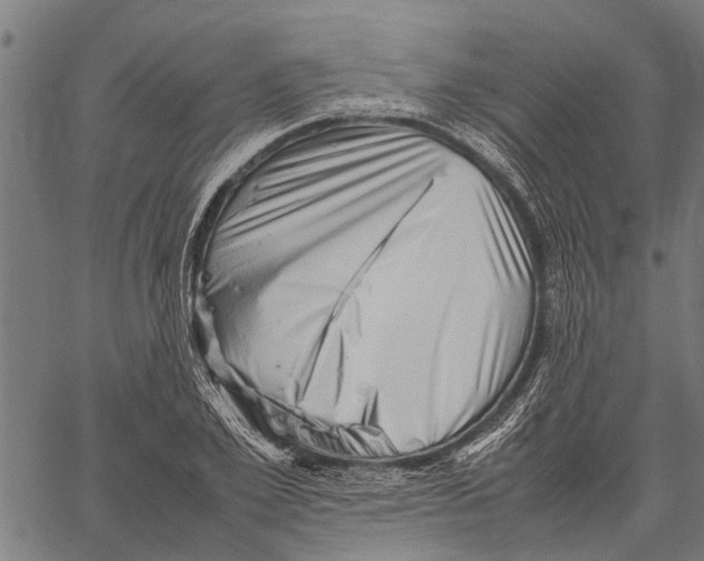 X0000062170981200601061036