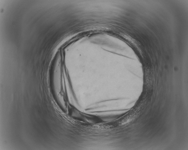 X0000062170983200601061036