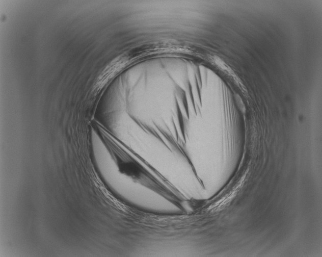 X0000062170985200601061036
