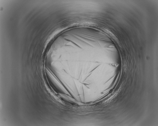 X0000062170989200601061036