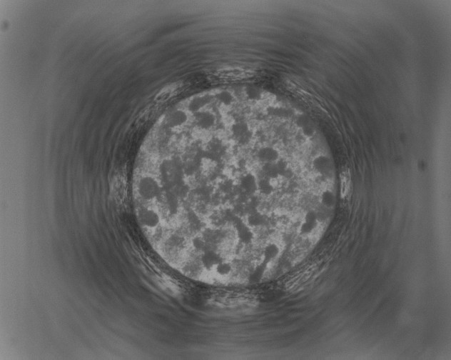 X0000062171011200601061035