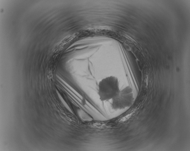 X0000062171014200601061035