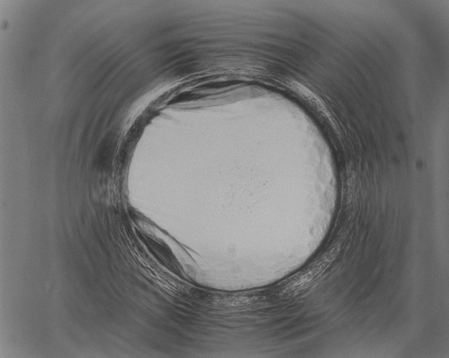 X0000062171019200601061035