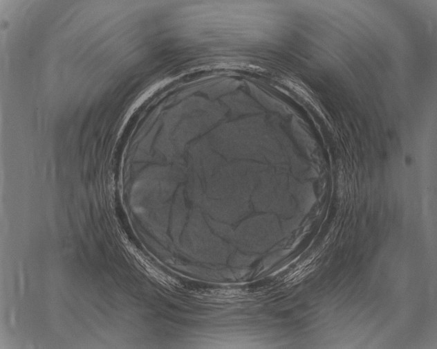 X0000062171024200601061035