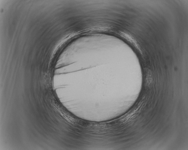 X0000062171027200601061035