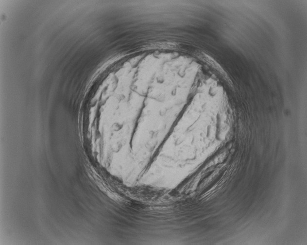 X0000062171035200601061035