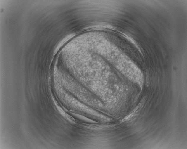X0000062171042200601061035