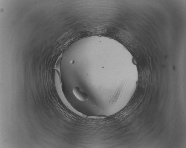 X0000062171058200601061035