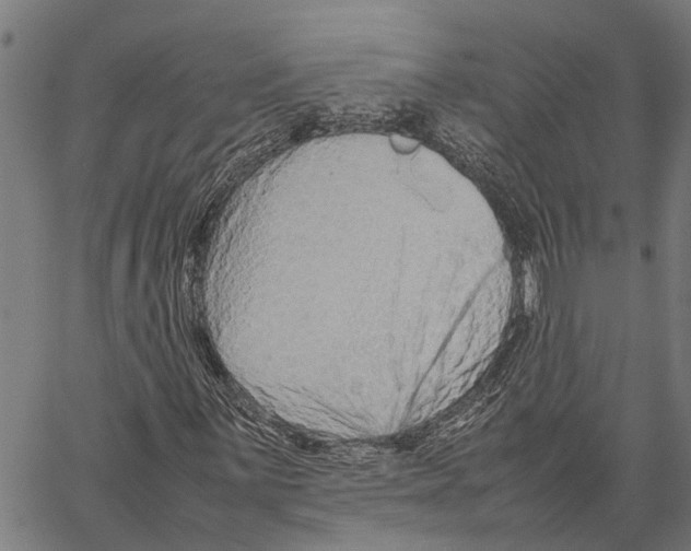 X0000062171059200601061035