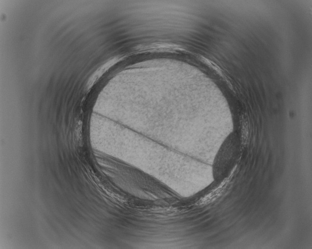 X0000062171066200601061035