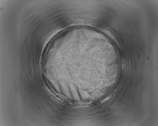 X0000062171068200601061035