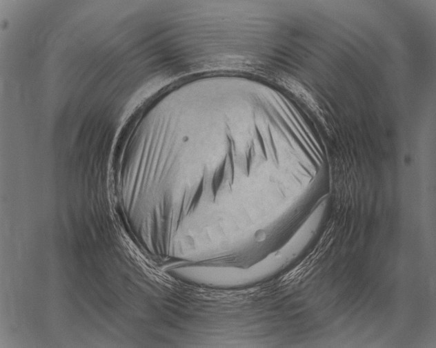 X0000062171072200601061035