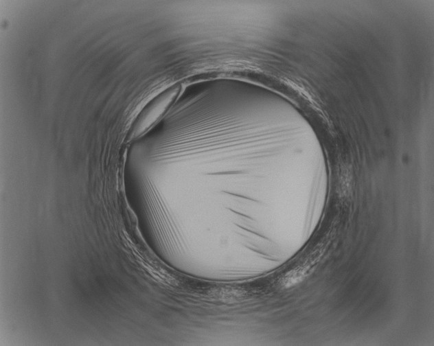 X0000062171073200601061035
