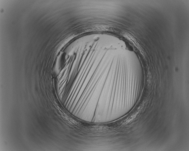 X0000062171081200601061034