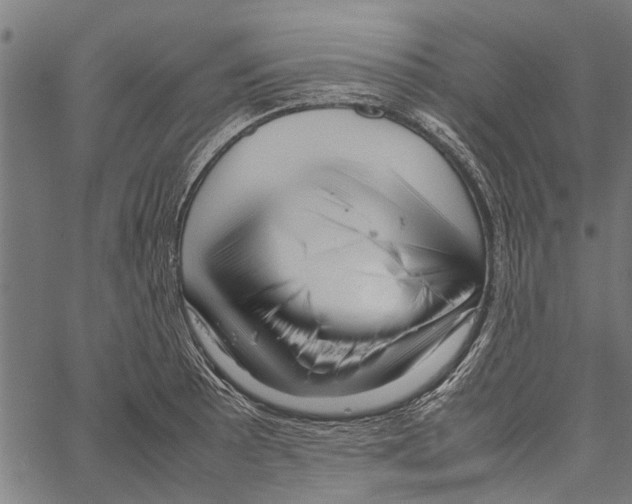 X0000062171089200601061034