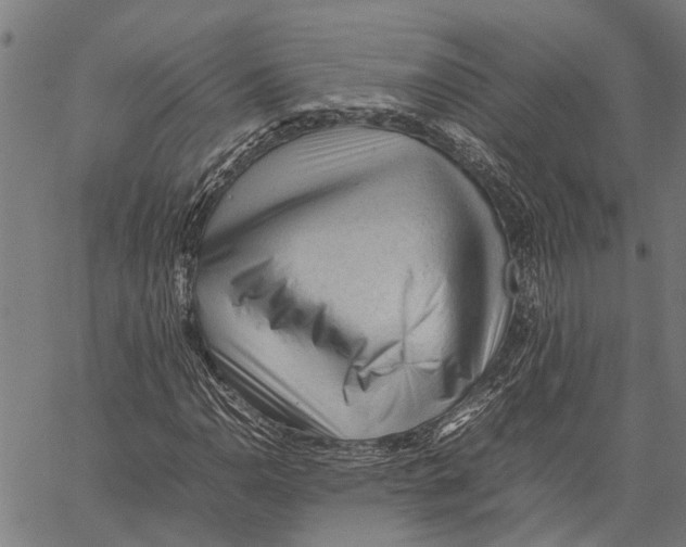 X0000062171110200601061033