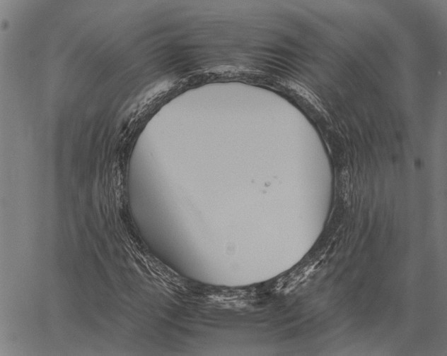 X0000062171111200601061033