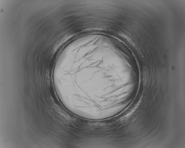 X0000062171113200601061033