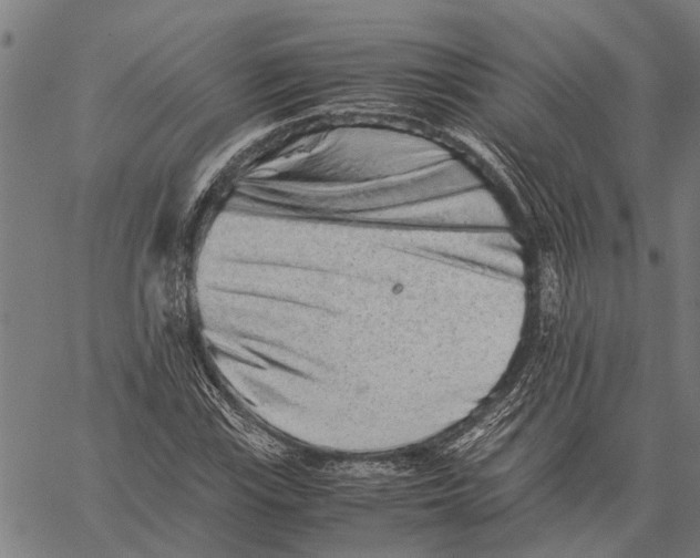X0000062171115200601061033
