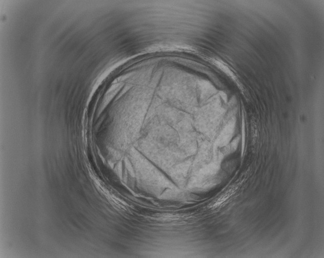 X0000062171124200601061034