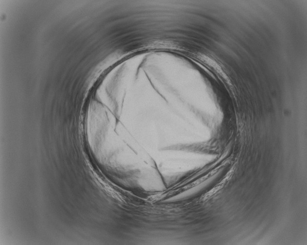 X0000062171133200601061034