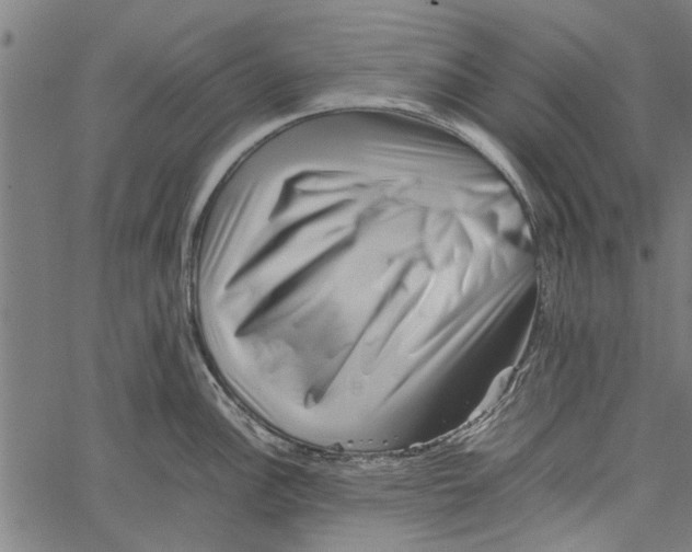 X0000062171148200601061034